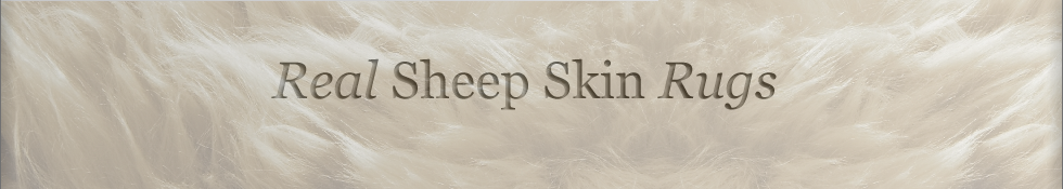 Real Sheep Skin Rugs.co.uk